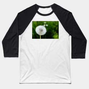 White dandelion head blowball Baseball T-Shirt